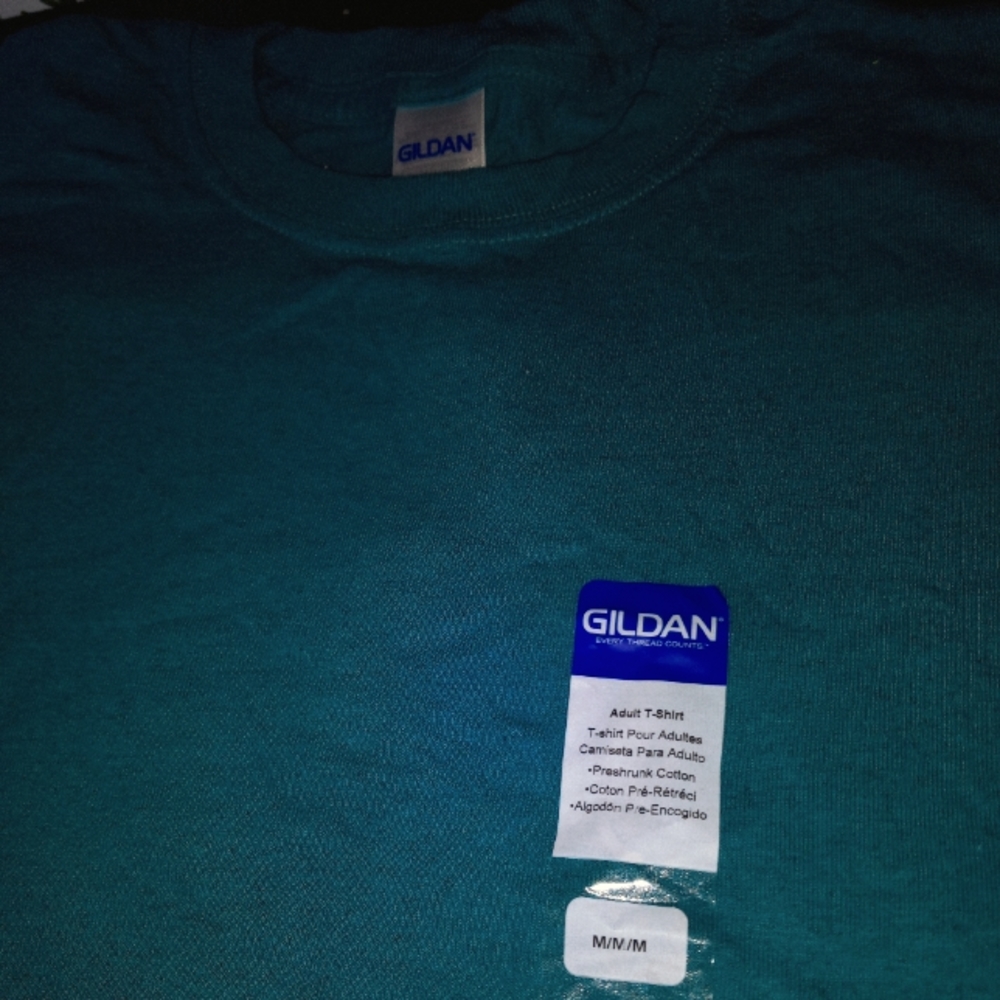 Gilden Heather Teal T Shirt
